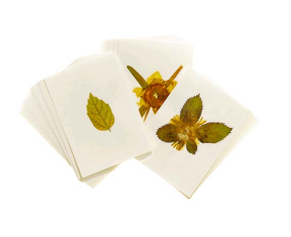 Plant cards, 50 pack