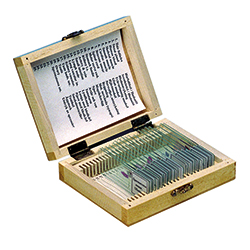 Microscopic slides, human, 20 pcs.