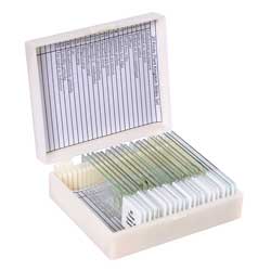 Microscopic slides, plant kingdom, 20 pcs.