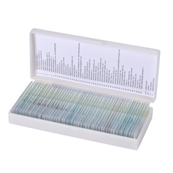 Microscopic slides, 50 pcs