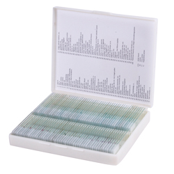 Microscopic slides, 100 pcs