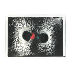 Magnetfältsplatta med magneter