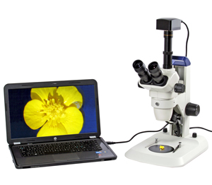 Camera for microscope, 3 MP