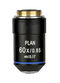 Lens 60x Plane achromatic