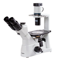 Mikroskop trinokulärt inverterat