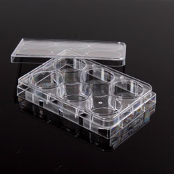 Microtitre plate with lid 6 wells