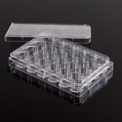 Microtitre plate with lid 24 wells