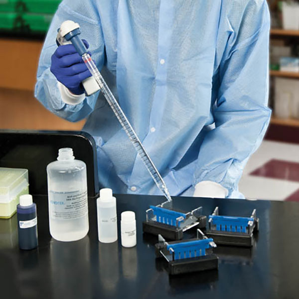 DNA fingerprinting med PCR II - Edvotek