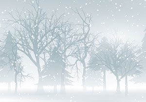 sn&ouml;storm i en burk - experiment